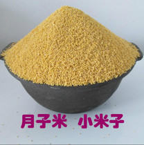 【食用小米】最新最全食用小米 产品参考信息