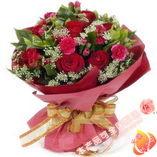 【康乃馨花束常州】最新最全康乃馨花束常州