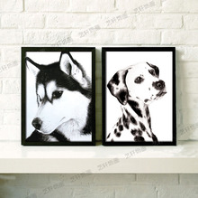 【白哈士奇】最新最全白哈士奇 产品参考信息