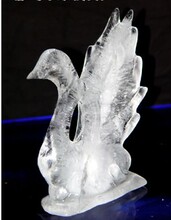 【盐雕冰雕多功能模具】最新最全盐雕冰雕多功