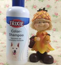 【特瑞仕】最新最全特瑞仕 产品参考信息