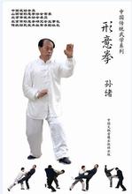 【孙绪形意拳】最新最全孙绪形意拳 产品参考