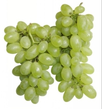 【无籽青提】最新最全无籽青提 产品参考信息