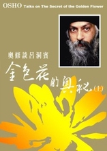 【金色花的奥秘】最新最全金色花的奥秘 产品