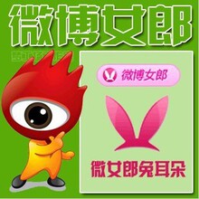【<em>微博</em>徽章】最新最全<em>微博</em>徽章 产品参考信息