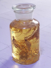 【人参葡萄酒】最新最全人参葡萄酒 产品参考