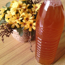 【自制食用酵素】最新最全自制食用酵素 产品