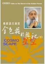 【金色花的奥秘】最新最全金色花的奥秘 产品