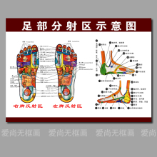 【美容院养生图】最新最全美容院养生图 产品