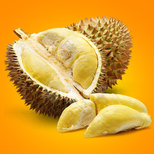 【泰国猫山王榴莲】最新最全泰国猫山王榴莲搭