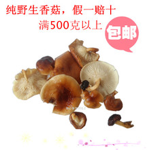 【云南楚雄特产】最新最全云南楚雄特产 产品