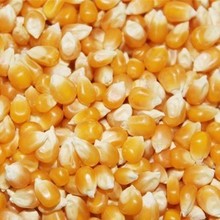 【爆米花 配料】最新最全爆米花 配料返利优惠