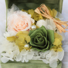 【野兽派永生花】最新最全野兽派永生花 产品