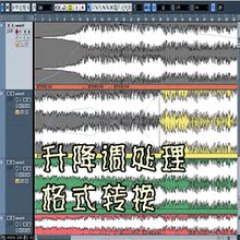【伴奏降调】最新最全伴奏降调 产品参考信息