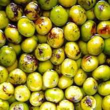 【野枇杷】最新最全野枇杷 产品参考信息_一淘搜索