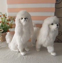 【贵妇人犬】最新最全贵妇人犬 产品参考信息_一淘搜索