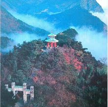 【买赞】最新最全买赞返利优惠