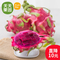 八卦炽火龙鎏金玫瑰特-果南方北方可种植包邮