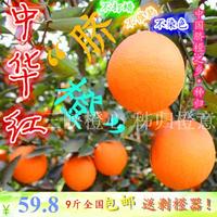 秭归特产-标准果5斤装秭归脐橙 红橙脐橙 湖北