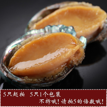 【黄金鲍鱼】最新最全黄金鲍鱼搭配优惠_一淘网