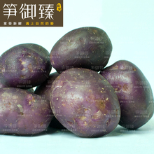 【洋芋的种植】最新最全洋芋的种植搭配优惠