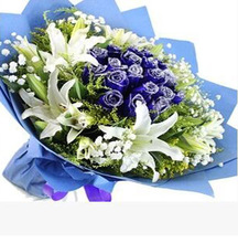 【杭州鲜花速递蓝玫瑰】_绿植园艺价格_最新