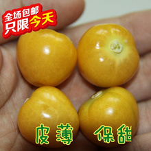 【东北特产水果】_粮油价格_最新最全粮油返