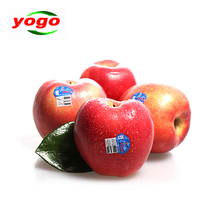 【新西兰 rose苹果】最新最全新西兰 rose苹果搭配优惠_一淘网