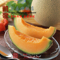 俏美人苦瓜绿茶果-苦瓜干果蔬干 休闲零食去粉