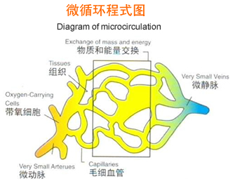 治疗失眠的枕头﹏失眠枕头﹏治疗失眠枕头 治疗失眠的枕头﹏失眠枕头﹏治疗失眠枕头