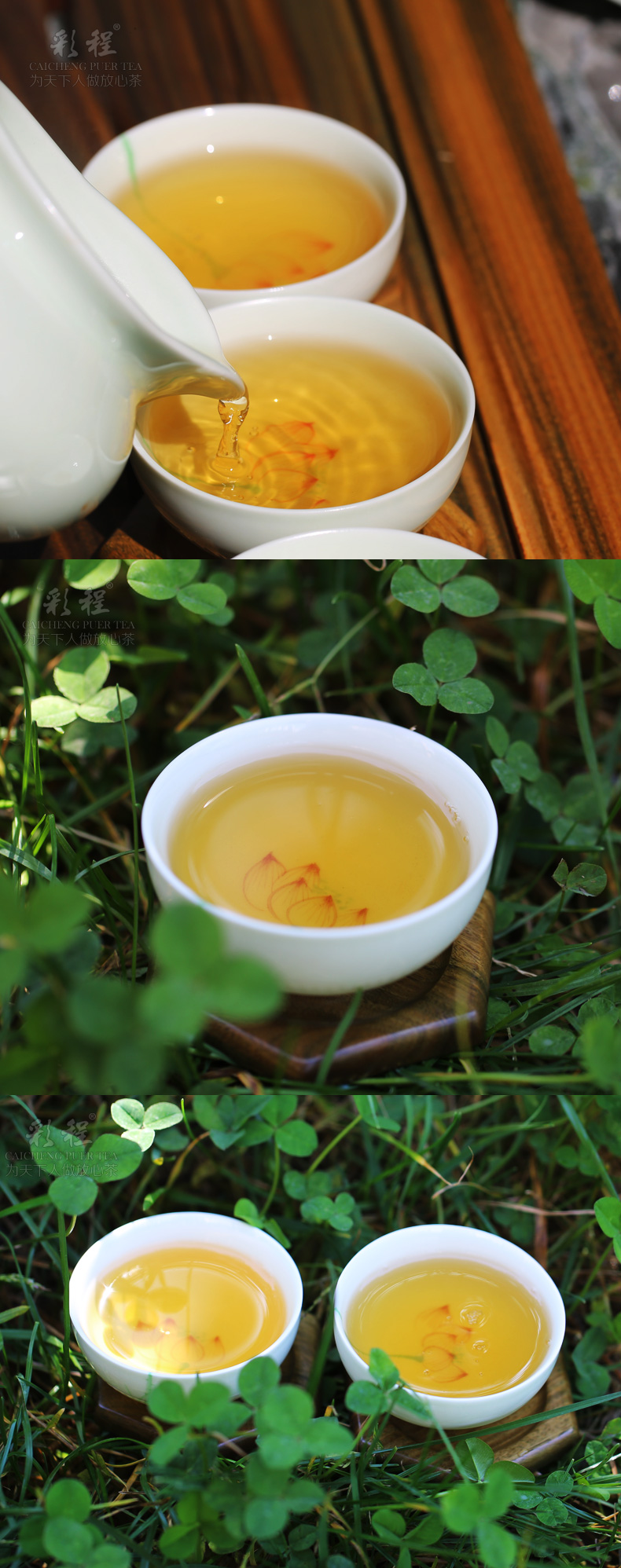 千年古树极品银芽2千克金瓜贡茶 - 阎红卫 - 阎红卫经赢之道策划产业联盟 千年古树极品银芽2千克金瓜贡茶 - 阎红卫 - 阎红卫经赢之道策划产业联盟