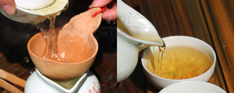 千年古树极品银芽2千克金瓜贡茶 - 阎红卫 - 阎红卫经赢之道策划产业联盟 千年古树极品银芽2千克金瓜贡茶 - 阎红卫 - 阎红卫经赢之道策划产业联盟