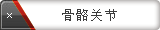 骨骼关节
