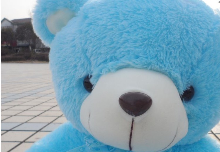批发毛绒玩具熊抱抱熊公仔布娃娃粉色蓝色泰迪熊