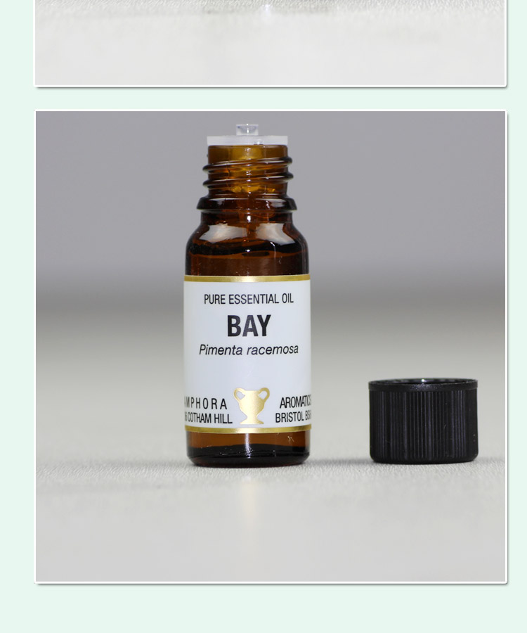 【英国AA网 纯单方月桂精油10ML 胀气胃疼 A