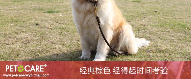 Ошейник для животных петкер Pet воротник собака воротник домашнее животное р цепь собака цепь высокого качества латунь оснастки крышек нагруженный термин Ошейник для животных петкер Pet воротник собака воротник домашнее животное р цепь собака цепь высокого качества латунь оснастки крышек нагруженный термин