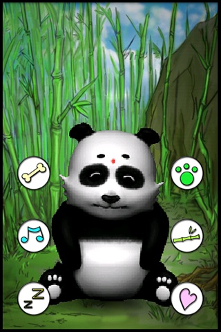 免費下載娛樂APP|会说话的熊猫 app開箱文|APP開箱王