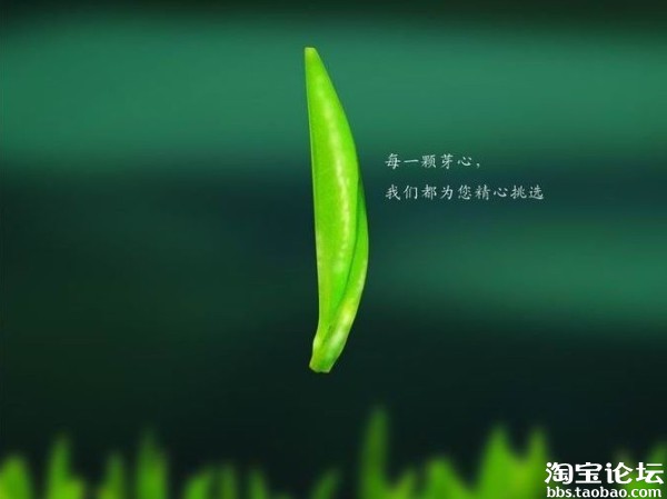 【淘宝店怎么做推广之图片优化】 - 淘宝杂谈