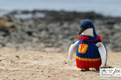 95岁<em>老太</em>为千余只企鹅<em>穿</em>上<em>毛衣</em> - 天天正能量