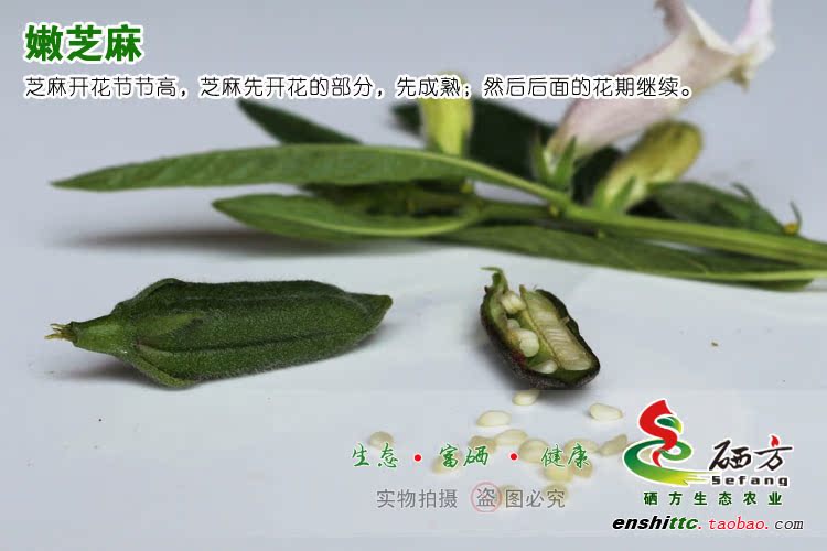 恩施硒方生态农业富硒黑芝麻