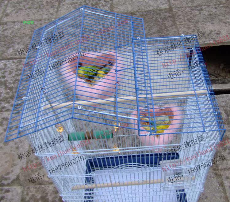 文鸟繁殖保暖窝<em>十姐妹</em>鸟窝七彩文鸟孵化鸟窝珍