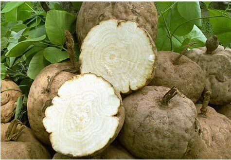 泰國(guó)Yanhee純天然豐胸膏 野葛根豐胸霜 塑形豐乳霜