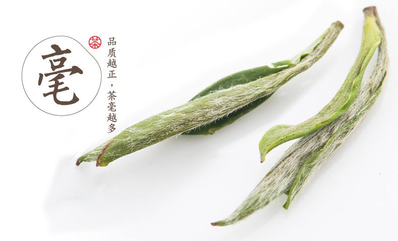 祁野 2014新茶 特级 雀舌单芽 黄山毛峰 绿茶 茶
