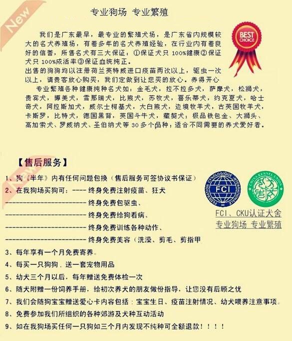 广州哪里有卖斑点狗 大麦町犬