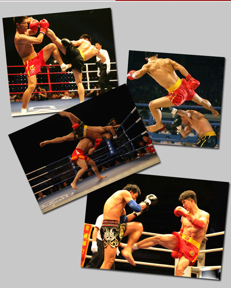Боксерские перчатки Shanren sports SRCD/1017 Боксерские перчатки Shanren sports SRCD/1017