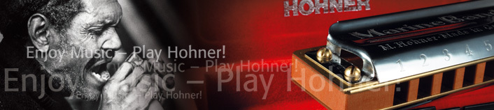 губная гармонь Hohner Golden Melody GM +DVD губная гармонь Hohner Golden Melody GM +DVD