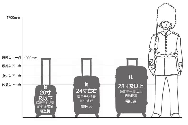 Чемодан Luggage it 16/0699/002 Itluggage Чемодан Luggage it 16/0699/002 Itluggage