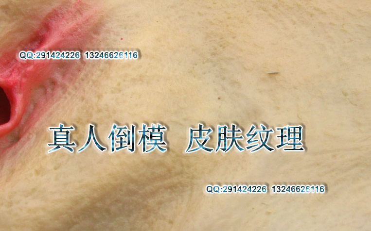 变装 假阴图片