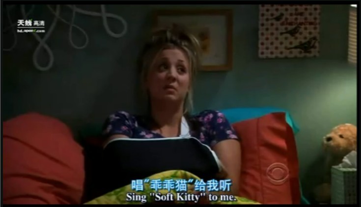 Футболка мужская One along SheldonT Soft Kitty Big Bang Theory Футболка мужская One along SheldonT Soft Kitty Big Bang Theory, One along