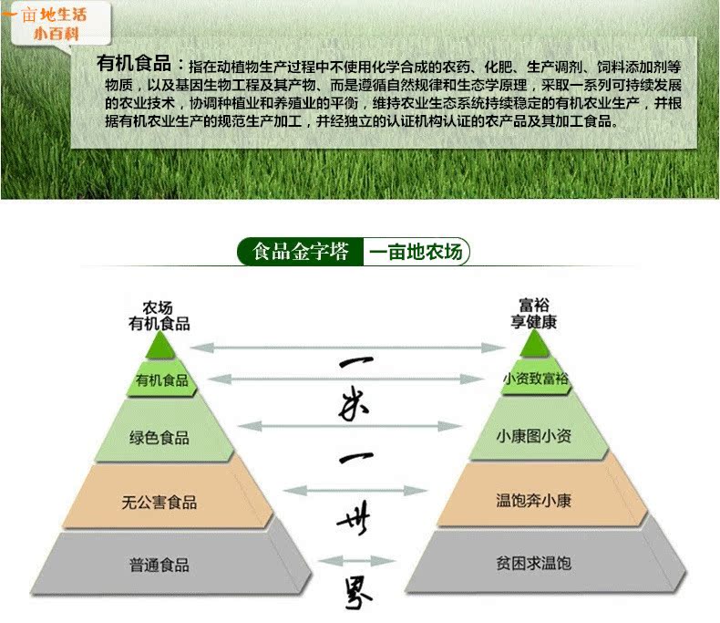 稻谷-2013山西藜麦Quinoa新藜米孕妇宝宝辅食